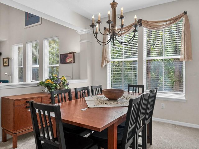 916 TOWHEE COURT, Celebration, FL 34747