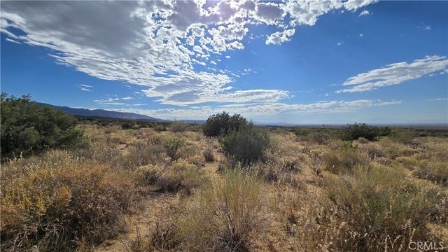 0 Vicinity Ave X13 & 189th St E, Llano, CA 93544