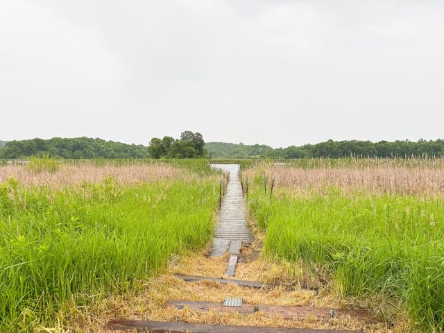 24718 W Elbow Road, Pelican Rapids, MN 56572