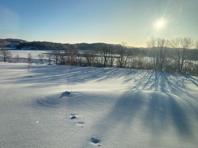 24718 W Elbow Road, Pelican Rapids, MN 56572