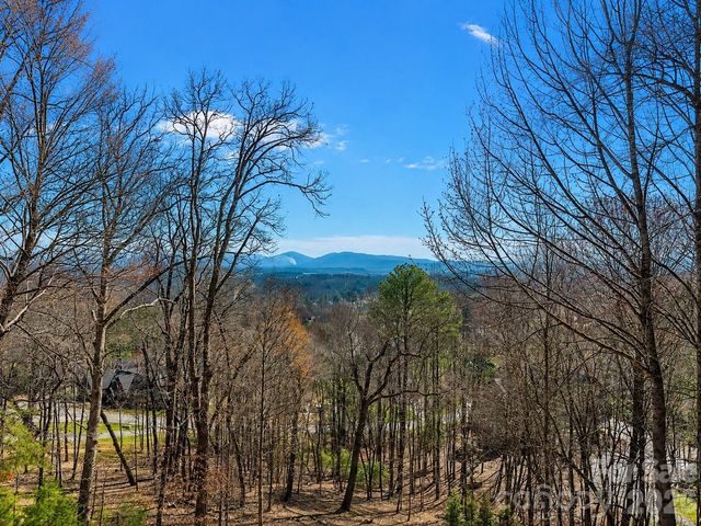 1105 High Vista Drive, Mills River, NC 28759