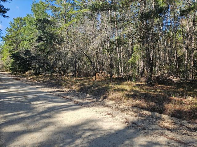 tbd SE 8TH STREET, Williston, FL 32696