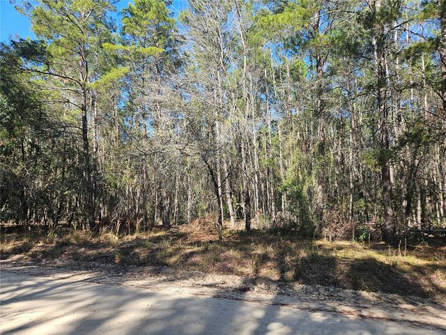 tbd SE 8TH STREET, Williston, FL 32696