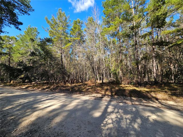 tbd SE 8TH STREET, Williston, FL 32696