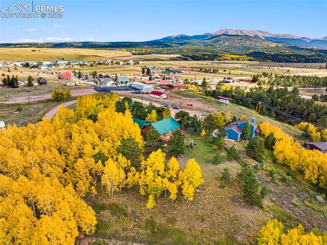 162 Ridge Top Drive, Divide, CO 80814