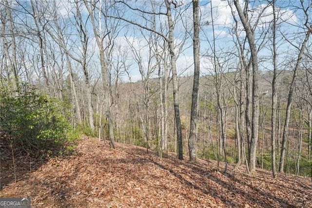 29 Red Trillium Ridge, Jasper, GA 30143