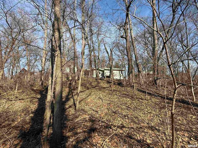 100 THRUSH Avenue, Pekin, IL 61554