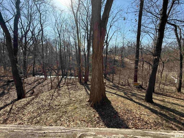 100 THRUSH Avenue, Pekin, IL 61554