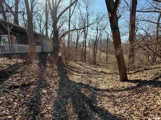 100 THRUSH Avenue, Pekin, IL 61554