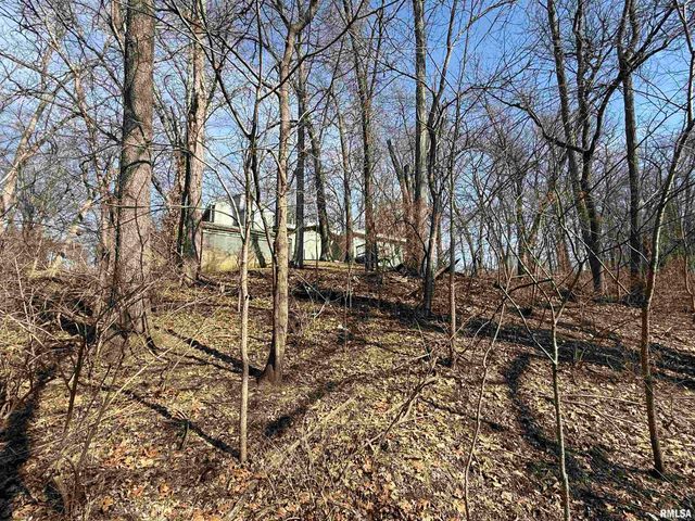 100 THRUSH Avenue, Pekin, IL 61554