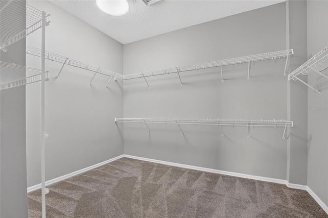 5246 BRIGHTON SHORE DRIVE, Apollo Beach, FL 33572