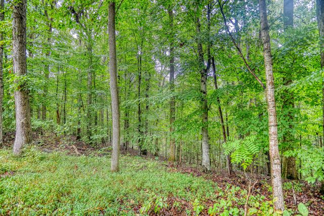 1061 Northfork Dr, W, Ashland City, TN 37015