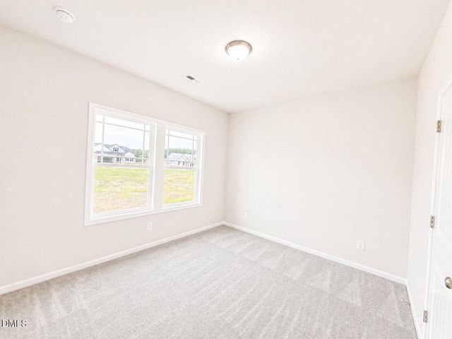 40 Little Sampson Drive Lot 18, Princeton, NC 27569