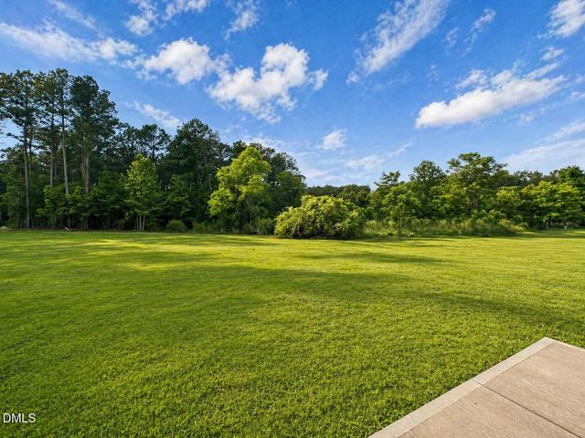 40 Little Sampson Drive Lot 18, Princeton, NC 27569