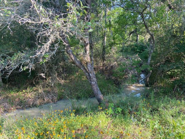 000 Pintail Ln, Columbus, TX 78934