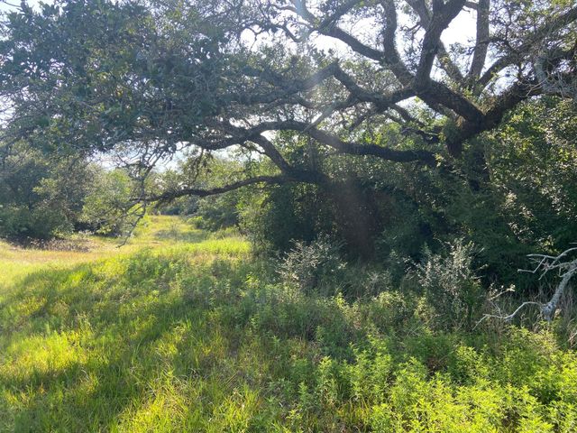 000 Pintail Ln, Columbus, TX 78934