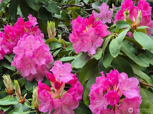 5505 Oyster Bay Road NW, Olympia, WA 98502