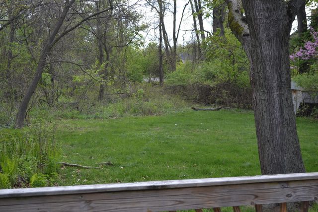23404 Plum Hollow Street, Southfield City, MI 48033