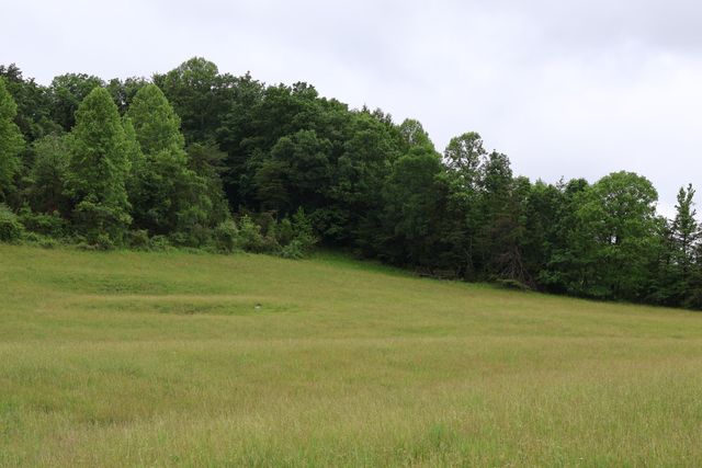 4135 Big Andy Ridge Road Tract 4, Rogers, KY 41365