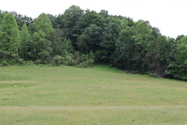 4135 Big Andy Ridge Road Tract 4, Rogers, KY 41365
