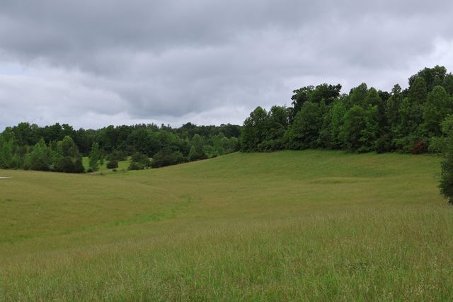 4135 Big Andy Ridge Road Tract 4, Rogers, KY 41365