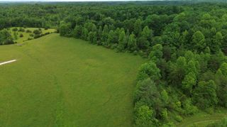 4135 Big Andy Ridge Road Tract 4, Rogers, KY 41365