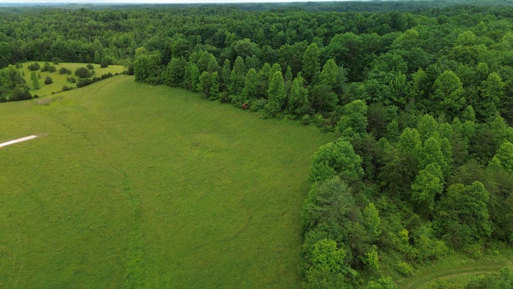4135 Big Andy Ridge Road Tract 4, Rogers, KY 41365