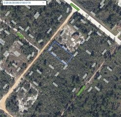 213 Carter Avenue, Lake Placid, FL 33852