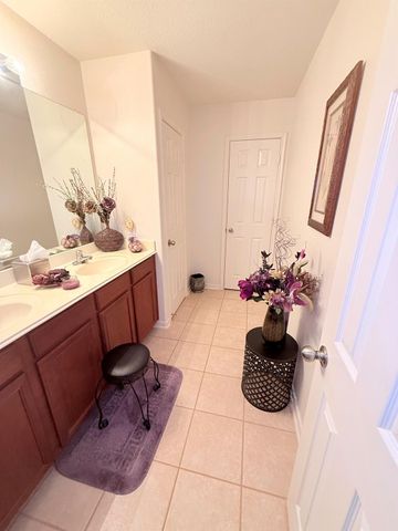 16203 Silver Wing Lane, Hockley, TX 77447