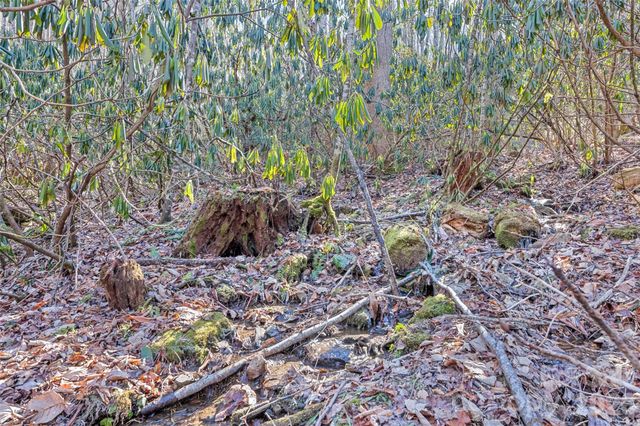 831 Forest Run Road, Whittier, NC 28789