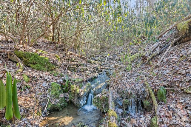 831 Forest Run Road, Whittier, NC 28789