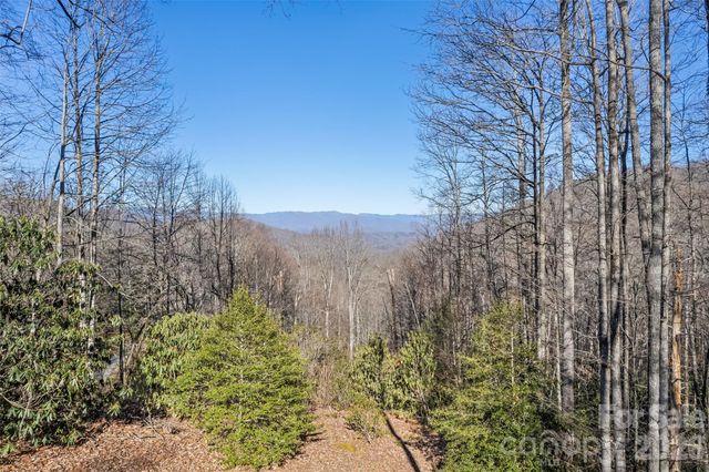 831 Forest Run Road, Whittier, NC 28789