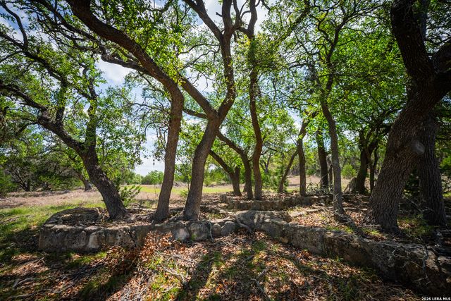 107 Sun Valley Dr, Spring Branch, TX 78070