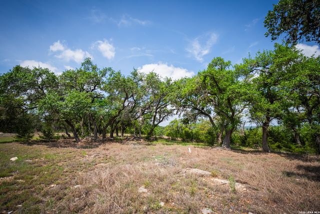107 Sun Valley Dr, Spring Branch, TX 78070