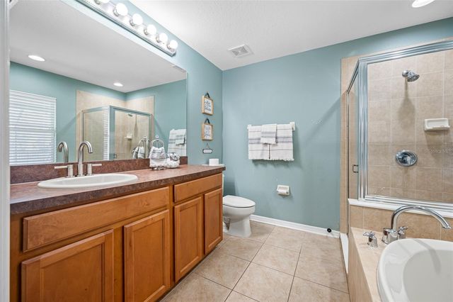 21351 MORNING MIST WAY, Land O Lakes, FL 34637