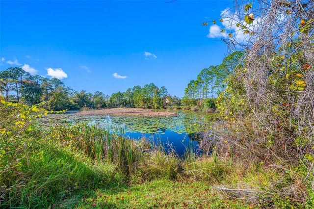 21351 MORNING MIST WAY, Land O Lakes, FL 34637