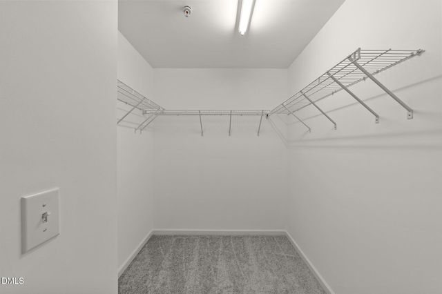 1120 Renewal Place 111, Raleigh, NC 27603