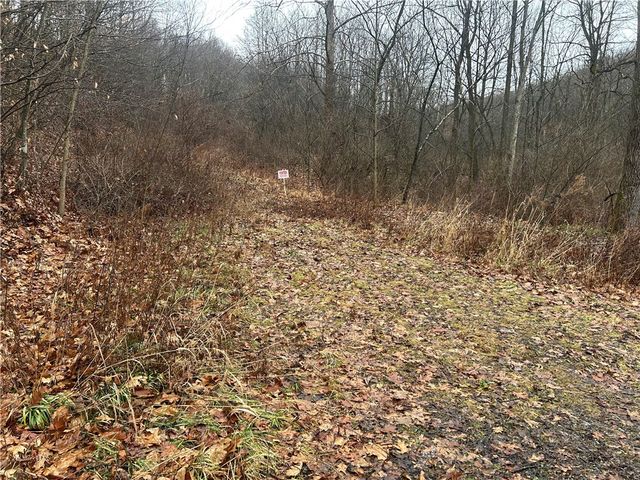 0 Nye Road, Perry Twp, PA 16051