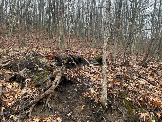 0 Nye Road, Perry Twp, PA 16051