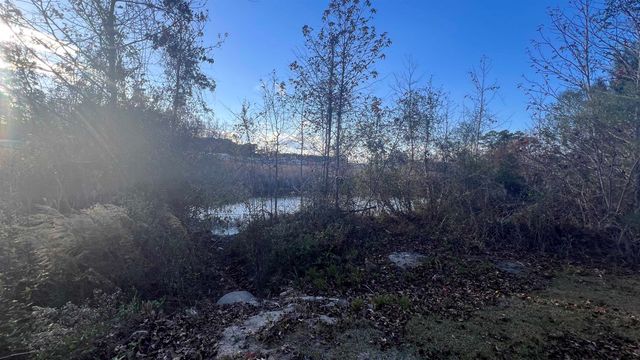 10.79 acres Highway 90, Longs, SC 29568