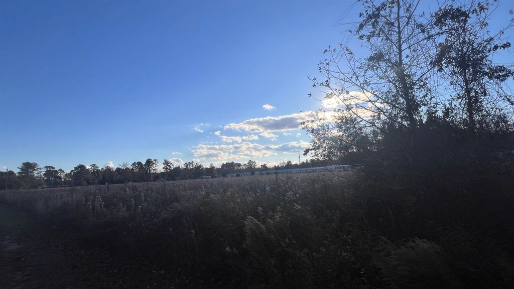 10.79 acres Highway 90, Longs, SC 29568 — photo 4