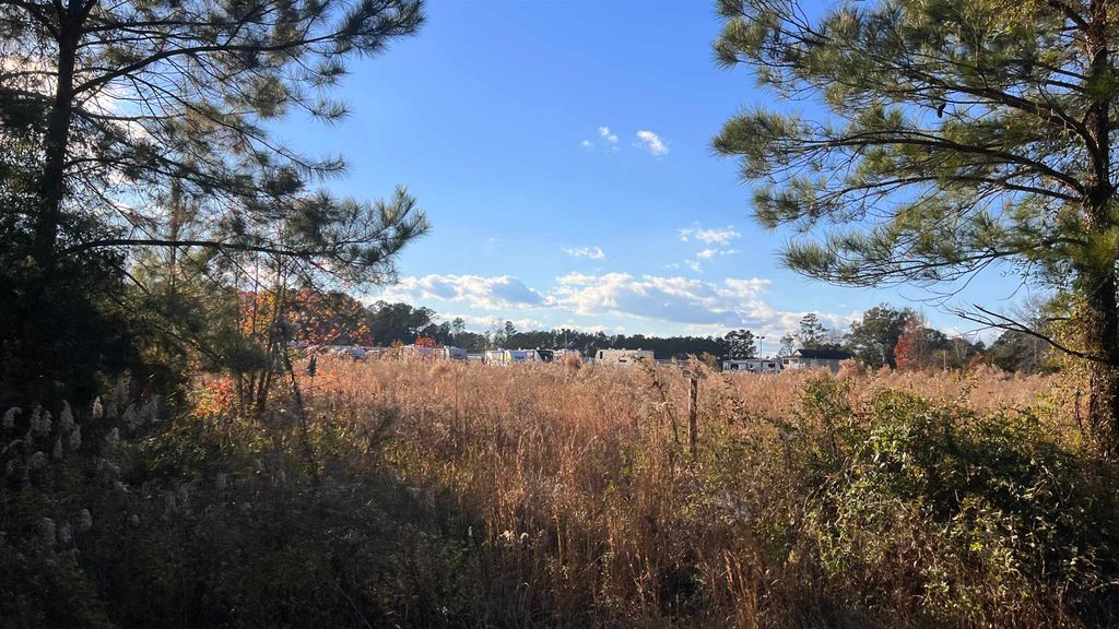 10.79 acres Highway 90, Longs, SC 29568 — photo 5
