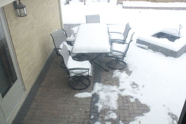 5639 N Manor Lane, Norwood Park Township, IL 60631