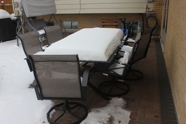 5639 N Manor Lane, Norwood Park Township, IL 60631