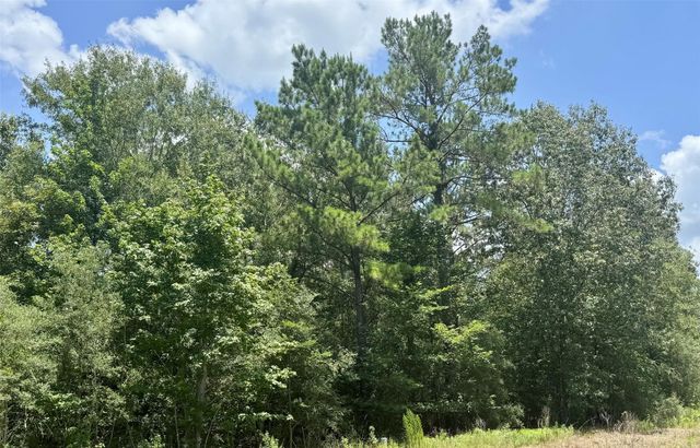 Lot 14 Riverstone Drive, Livingston, TX 77351