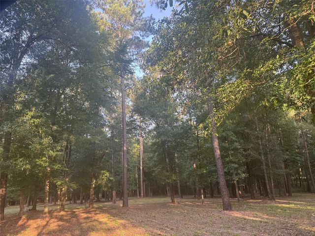Lot 14 Riverstone Drive, Livingston, TX 77351