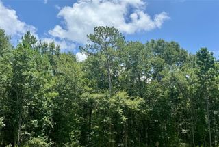 Lot 14 Riverstone Drive, Livingston, TX 77351
