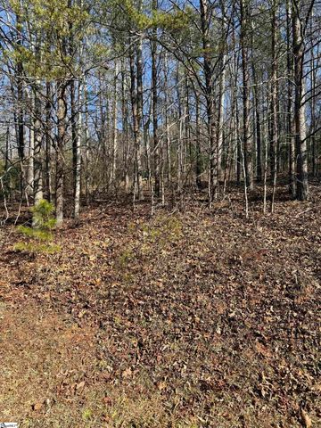 25 Lake Hill Lane, Travelers Rest, SC 29690