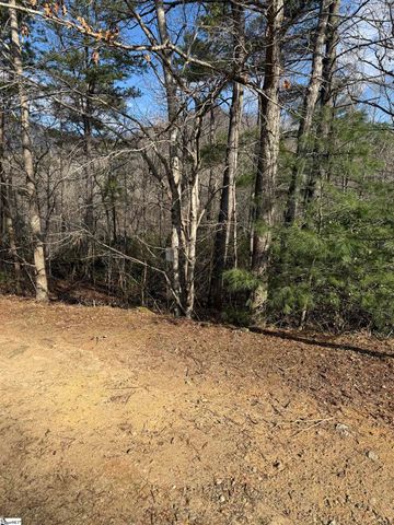 25 Lake Hill Lane, Travelers Rest, SC 29690