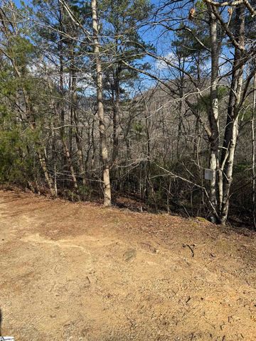 25 Lake Hill Lane, Travelers Rest, SC 29690